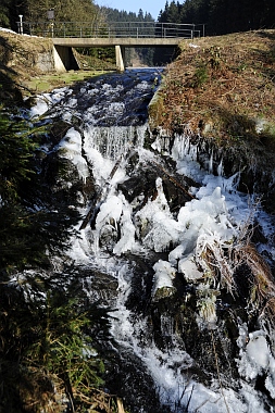 Unterer Grumbacher Teich Oberharzer Wasserwirtschaft 350 Bilder